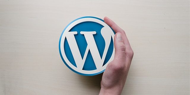How To Hire A Good WordPress Developer?
