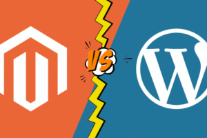 Magento vs WordPress: Which platform for e-commerce in 2021?
